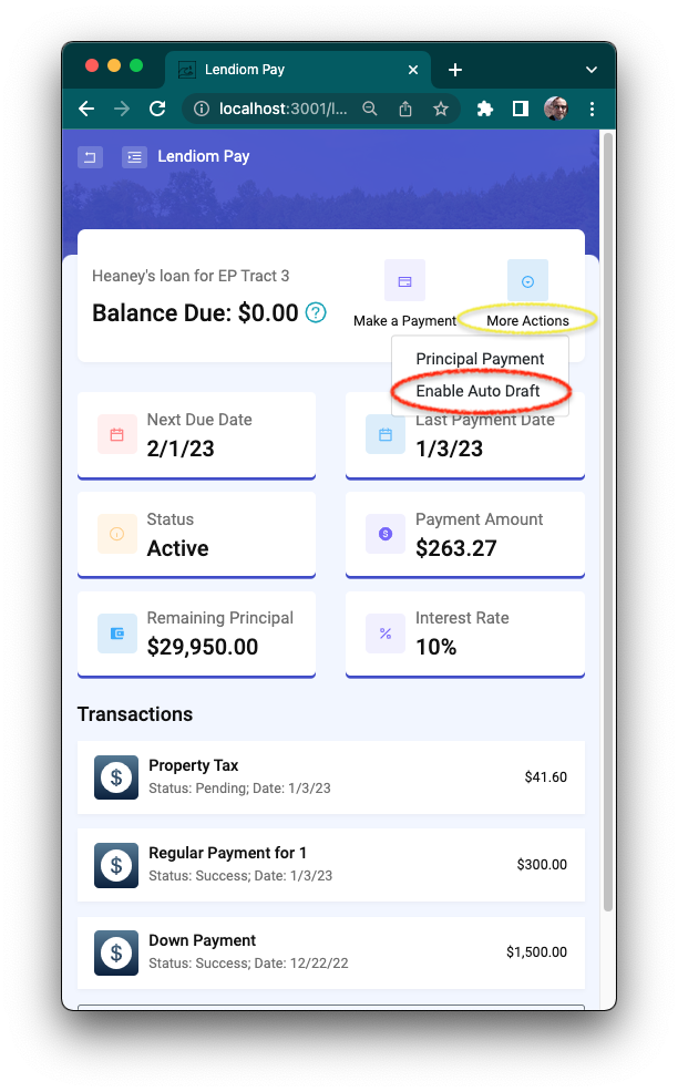 Loan Overview with Circles Screenshot